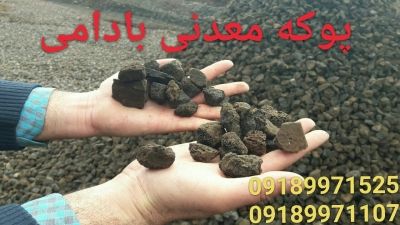 نمایندگی فروش پوکه.com